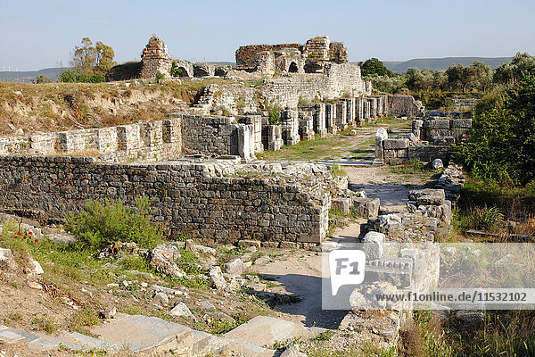 Turkey  province of Aydin  Milet (or miletas)  Faustine thermal bath