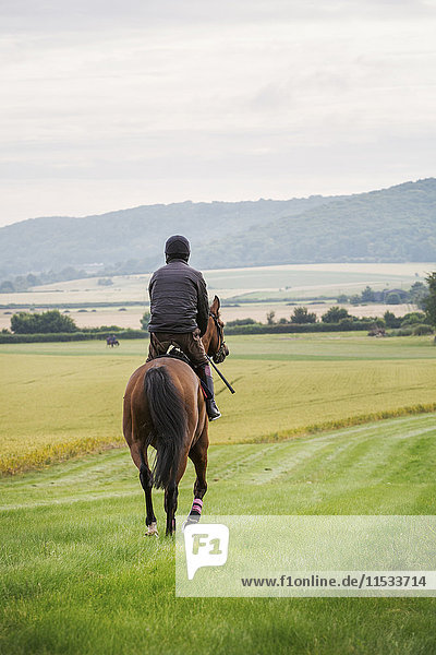 Rückansicht eines Mannes  der auf einem braunen Pferd über ein Feld reitet  entlang eines Grasrittes in einem Feld.
