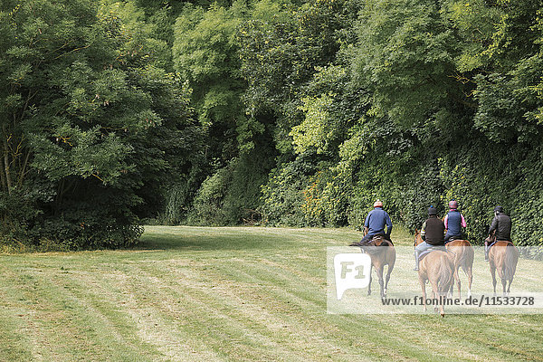 A string or group of riders on thoroughbred horses riding along a path. Racehorses in training. Routine exercise.