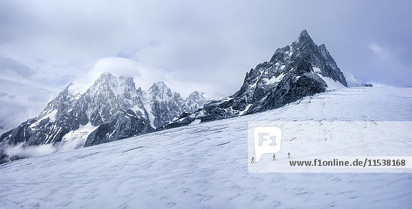 Frankreich  Ecrins Alpen  Bergsteiger bei Dauphine