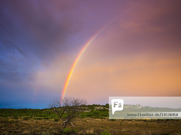 Namibia  Outjo  Regenbogen im Ongava Wild Reservat