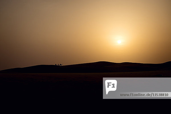 Indien  Rajastan  Sonnenuntergang in der Wüste