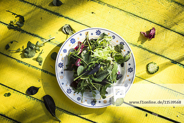 Frühlingssalat aus Babyspinat  Kräutern  Rucola und Salat  gelbes Holz