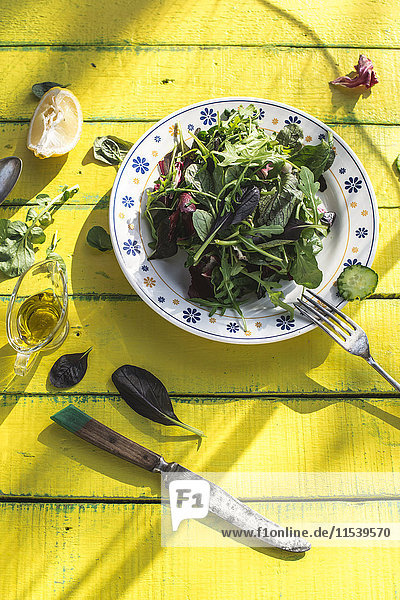 Frühlingssalat aus Babyspinat  Kräutern  Rucola und Salat auf Teller  Olivenöl und Zitrone