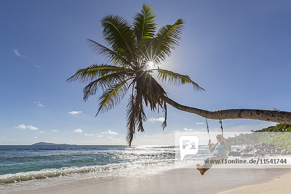 Seychellen  La Digue  Anse Fourmis  Strand mit Palme und Tourist auf Schaukel