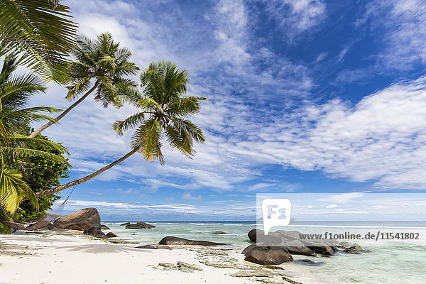 Seychellen  Silhouette Island  Strand La Passe  Presidentel Beach  Palme mit Hängematte