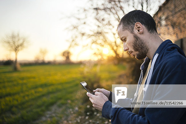 Mann  der bei Sonnenuntergang auf einem Smartphone auf der grünen Wiese tippt