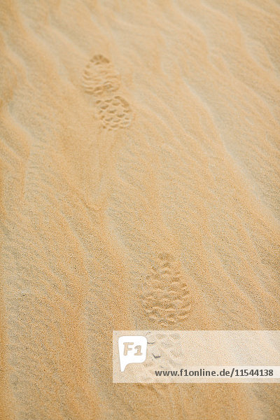 UAE  Rub' al Khali  Schuhabdrücke im Wüstensand