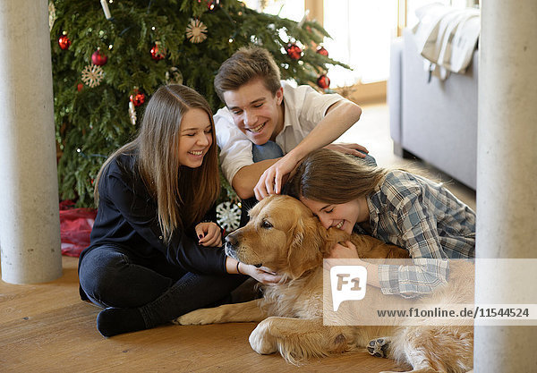 Drei junge Freunde kuscheln mit Golden Retriever auf dem Boden des Wohnzimmers zur Weihnachtszeit.