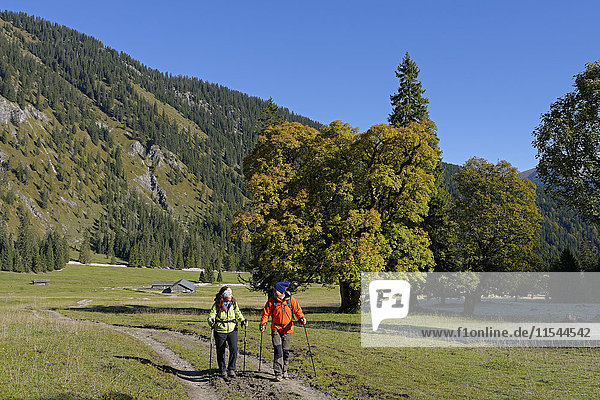 Austria  Tyrol  Karwendel  hikers in the Rohn Valley