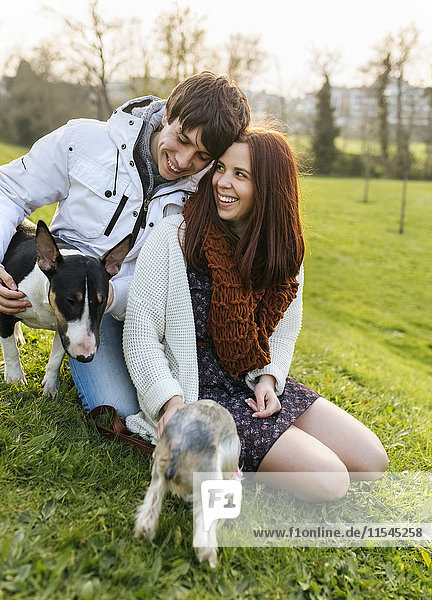Young couple with their dogs on a meadow