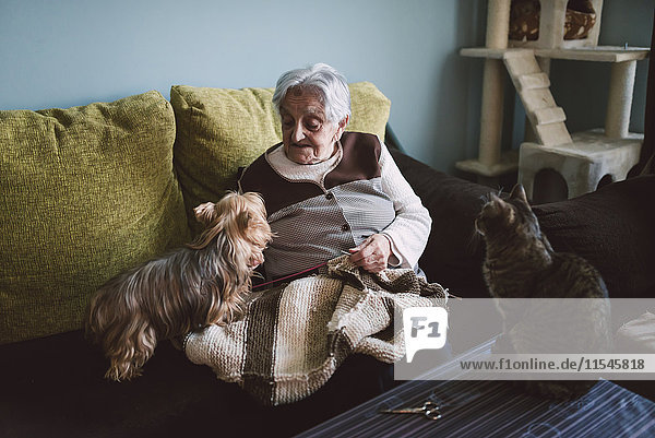 Seniorin sitzt auf der Kutsche ihres Wohnzimmers mit ihrem Yorkshire Terrier  während ihre Katze sie beobachtet.