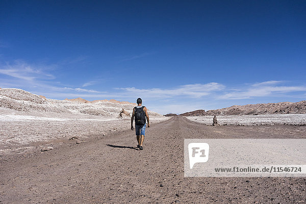 Chile  San Pedro de Atacama  Valley of the Moon  back view of hiker in the desert