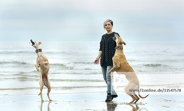Spanien  Llanes  junge Frau spielt mit ihren Windhunden am Strand