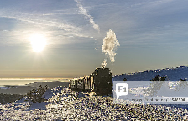 Germany  Saxony-Anhalt  Harz National Park  Brocken  Harz Narrow Gauge Railway in winter