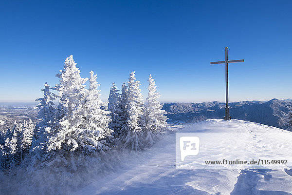 Deutschland  Oberbayern  Lenggries  Fichten und Gipfelkreuz auf schneebedecktem Brauneck