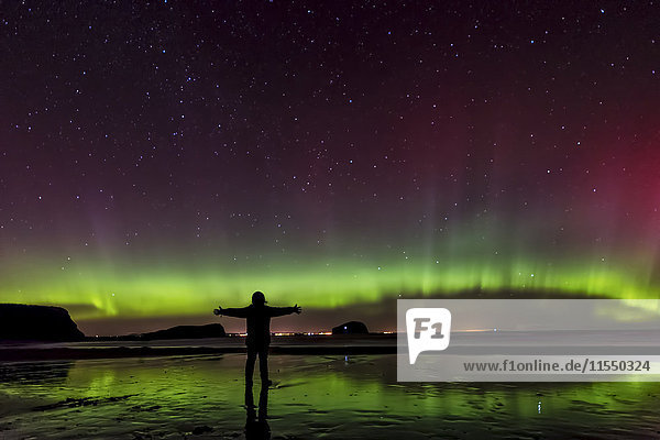 Schottland  East Lothian  Silhouette einer Frau  die am Seacliff Beach steht und Nordlichter beobachtet.