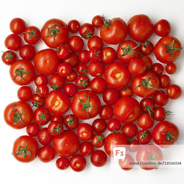 Verschiedene Tomatenarten auf weißem Grund