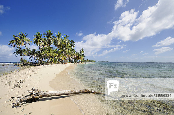 Panama  San Blas Inseln  Wüsteninsel mit Palmen