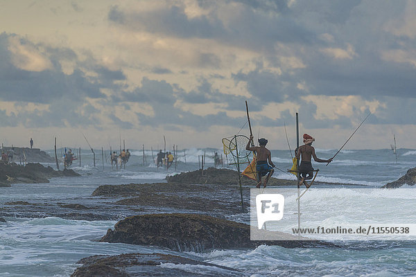 Sri Lanka Galle Stelzenfischer