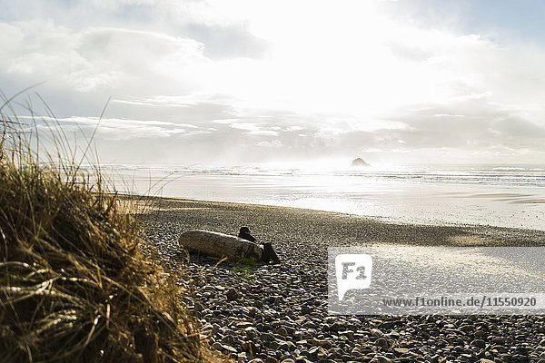 Frankreich  Bretagne  Finistere  Halbinsel Crozon  Frau  die sich am Strand an den Baumstamm lehnt