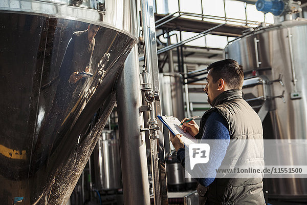 Young man working in craft brewery