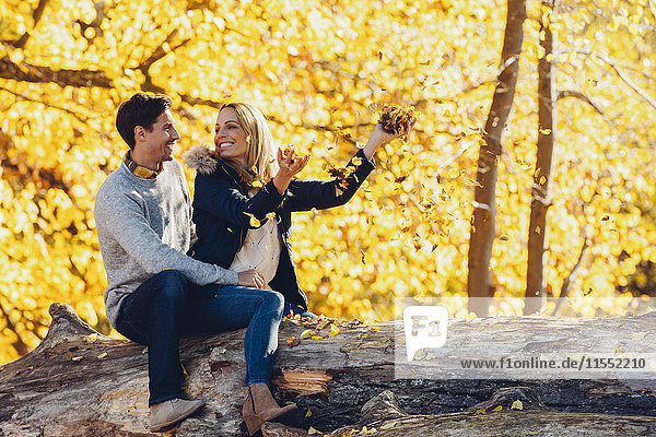 Ein glückliches Paar  das im Herbst im Wald auf einem Baumstamm sitzt.
