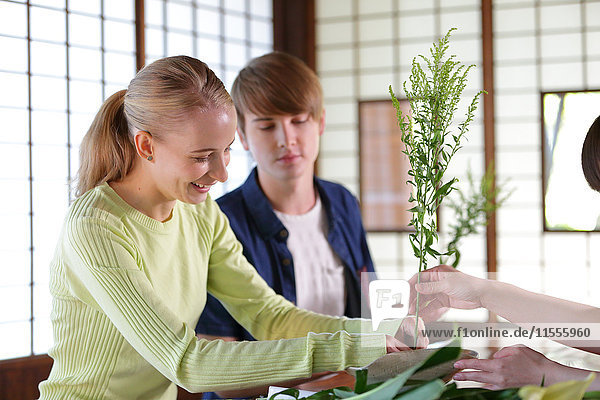 Kaukasisches Paar übt Ikebana in einem traditionellen japanischen Haus
