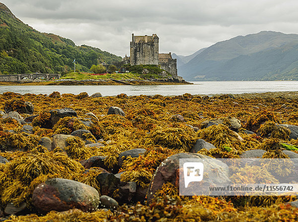 Blick auf die Burg Eilean Donan  Dornie  Highlands  Schottland  Vereinigtes Königreich  Europa