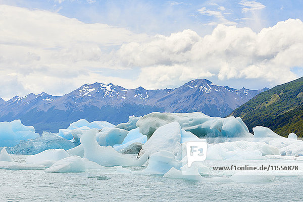 Blocks of ice float in one of the affluents of Lago Argentino  next to Perito Moreno Glacier  and wash ashore before they melt  Los Glaciares National Park  UNESCO World Heritage Site  Patagonia  Argentina  South America