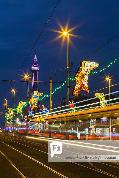 Illuminationen  Blackpool  Lancashire  England  Vereinigtes Königreich  Europa