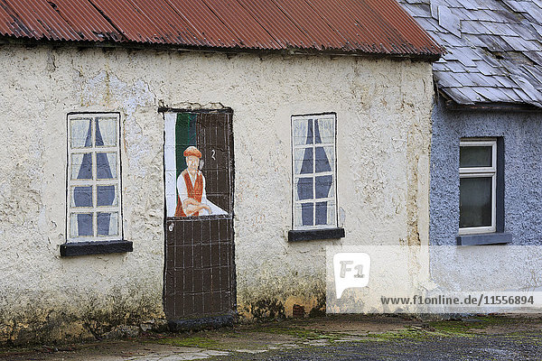 Alte Häuser  Dorf Ardfinnan  Grafschaft Tipperary  Republik Irland  Europa