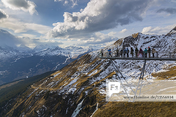 Blick von Grindelwald First  Jungfrau Region  Berner Oberland  Schweizer Alpen  Schweiz  Europa