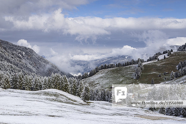 Früher Schnee in der Nähe der Seiser Alm in den Dolomiten  Trentino-Südtirol  Italien  Europa