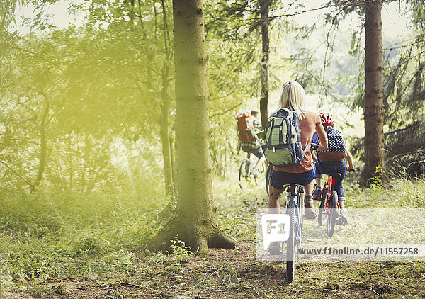 Familien-Mountainbiking auf Waldwegen