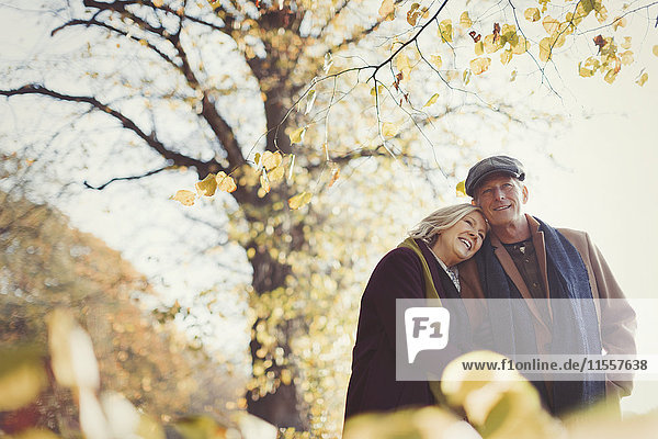 Liebevolles Seniorenpaar im sonnigen Herbstpark
