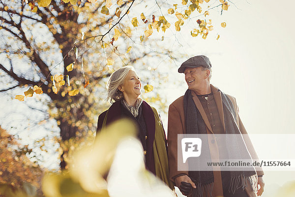 Lächelndes Seniorenpaar hält sich an den Händen und geht im sonnigen Herbstpark spazieren.