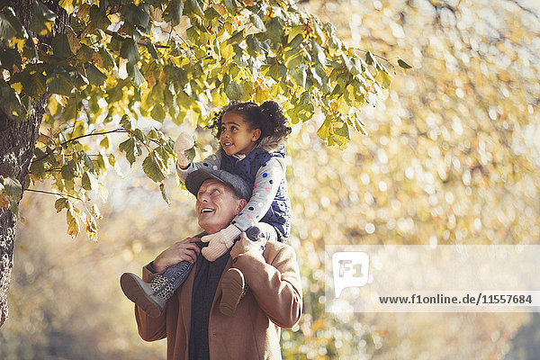 Großvater mit Tochter auf Schultern unter Bäumen im sonnigen Herbstpark