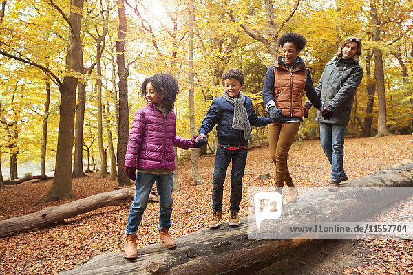 Junge Familie hält sich an den Händen und geht auf einem Baumstamm im Herbstwald spazieren.