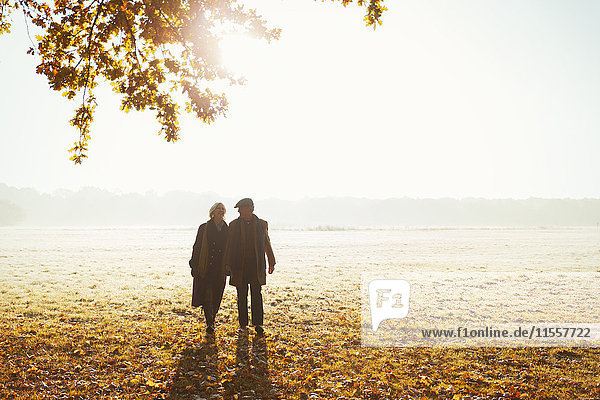 Silhouette Seniorenpaar hält Hände beim Spazierengehen im sonnigen Herbstpark