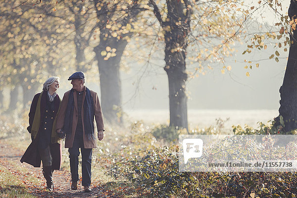 Senior couple holding hands walking in sunny autumn park