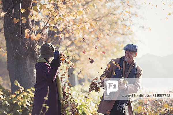 Verspieltes Seniorenpaar beim Herbstlaubwerfen im sonnigen Park