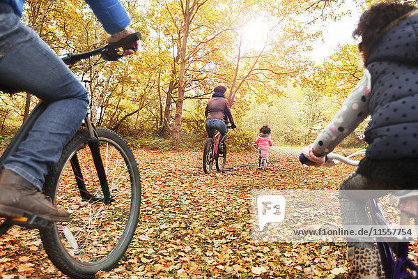 Junges Familienradfahren im Herbstwald