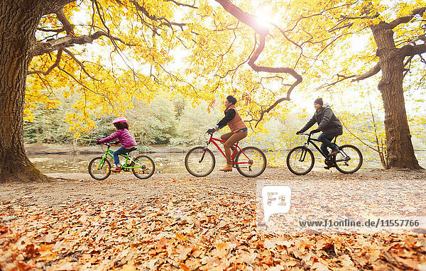 Junges Familienradfahren im Herbstpark