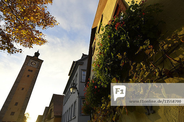 Deutschland  Rothenburg ob der Tauber  Häuser und Turm
