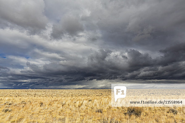 USA  Wyoming  Sweetwater County  Ebene mit Gewitterwolken entlang der US-Route 191