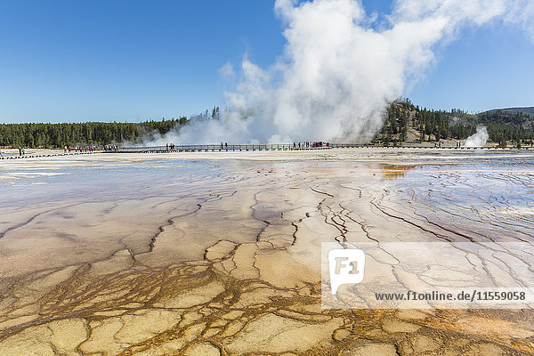 USA  Wyoming  Yellowstone National Park  Midway Geyser Basin  boardwalk with tourists