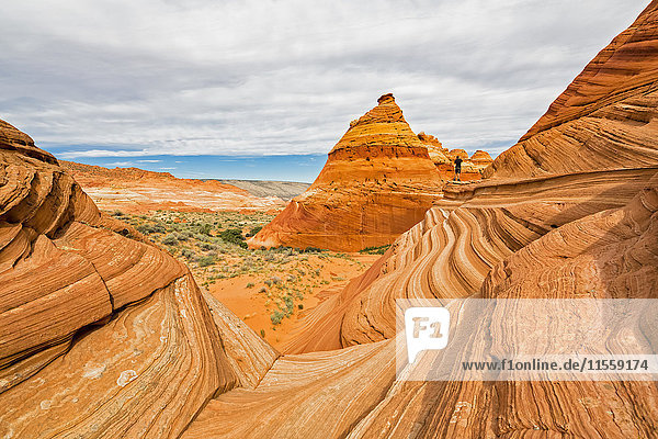 USA  Arizona  Page  Paria Canyon  Vermillion Cliffs Wilderness  Coyote Buttes  red stone pyramids and buttes