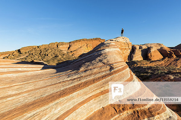 USA  Nevada  Valley of Fire State Park  farbiger Sandstein und Kalksteinfelsen  Tourist bei der Fire Wave