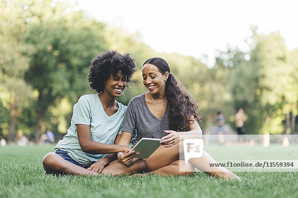 Two best friends sitting on a meadow of a park having fun with mini tablet